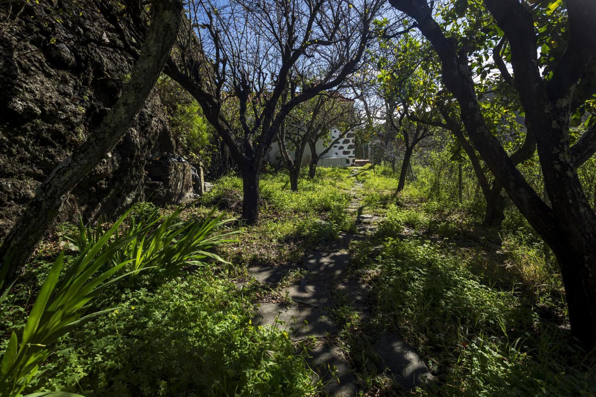 Casa Rural La Escalerilla Teror Kültér fotó