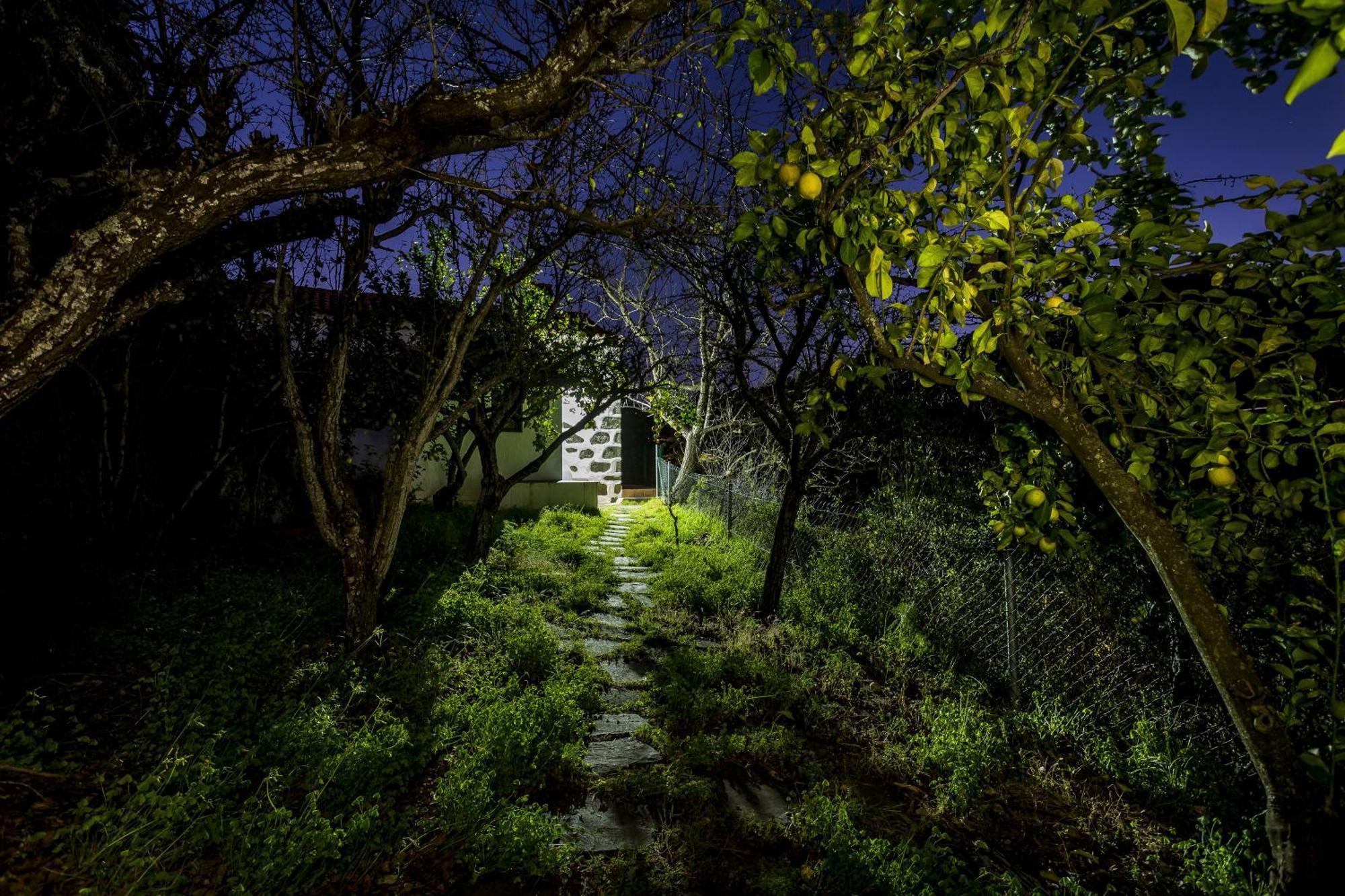 Casa Rural La Escalerilla Teror Kültér fotó